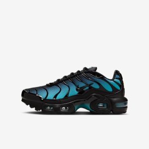 Nike Air Max Plus (Blue)